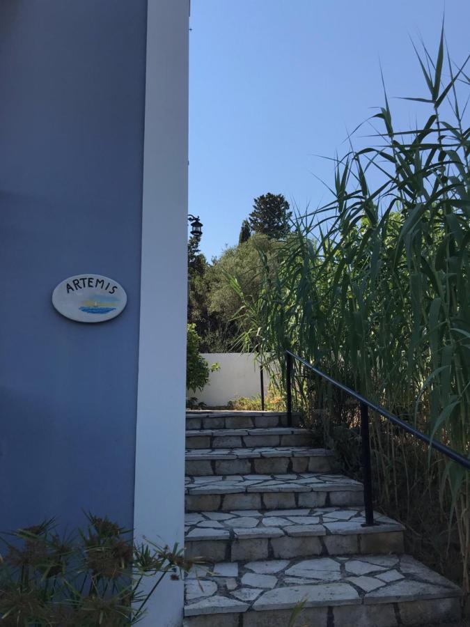 Artemis Villa Fiskardo Bagian luar foto