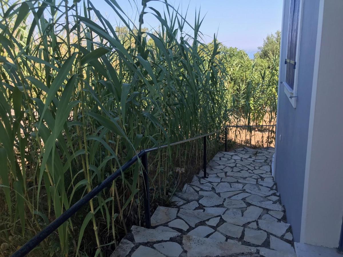 Artemis Villa Fiskardo Bagian luar foto